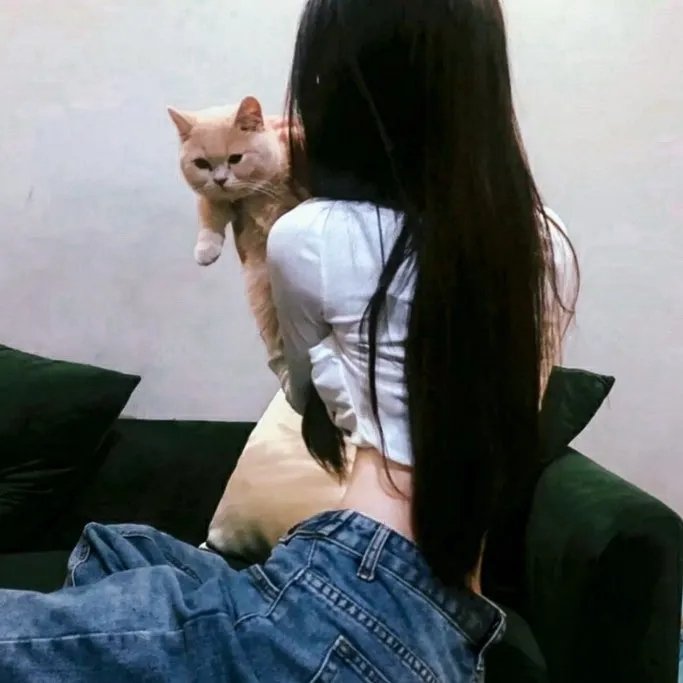 你还是不懂群马