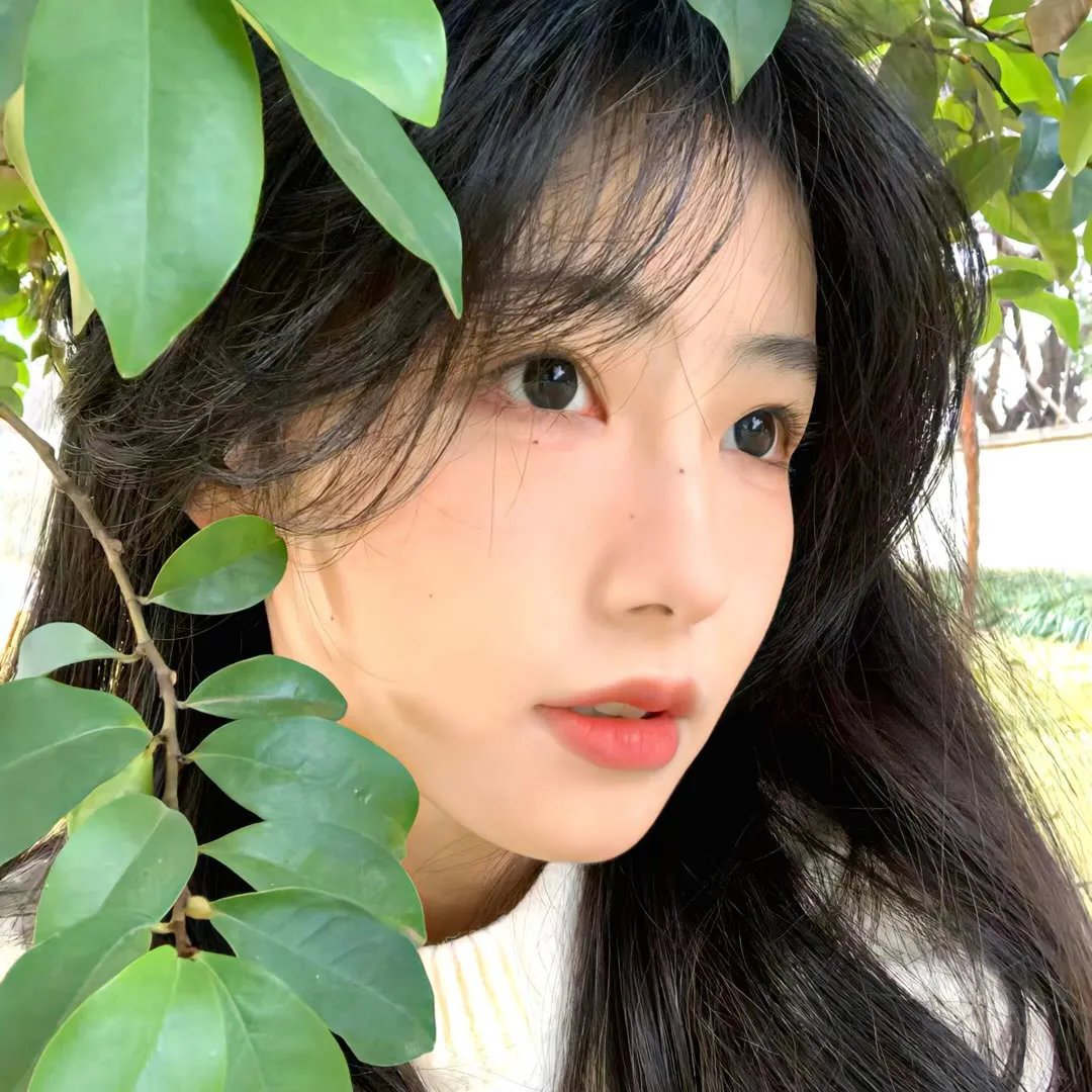 我朋友是丹墨